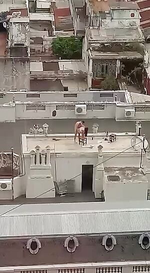 Caught everywhere !!