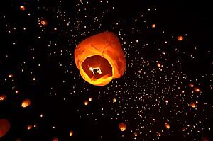 Sucking dick at festival