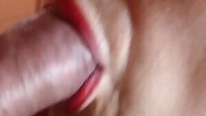 Close Up Blowjob
