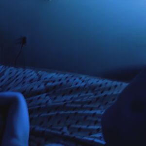 B-Movie Babes Ass Babe Brunette Celebrity