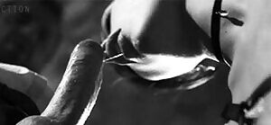 Blowjob in harnas GIF by Strawberries & Lace