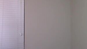 Coming out Monday - Misty spots a Rapidash...and..well..uhh..gets fucked.