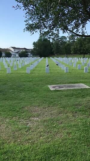 Mother tries to save her baby.