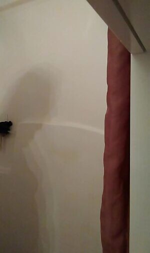 Hallelujah, it's Friday!