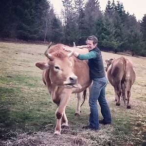 Goosie gets goofy when he gets scritches At Odd Man Inn Animal Refuge