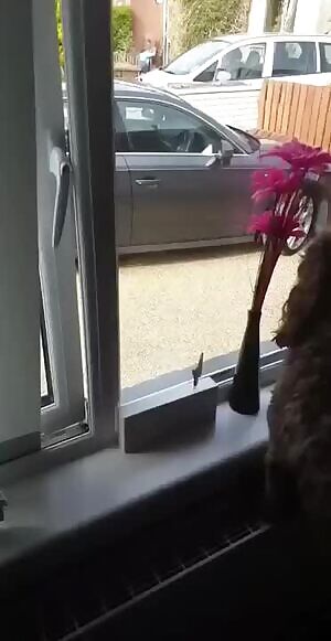 Just couldn't wait. Blowjob for a loved one. A drunk couple is sitting on the street and does not pay attention to the neighbors.
