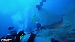 Boy breaks his jaw when he jumps into the pool