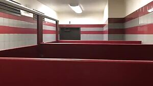 Kitty K in the Bathroom