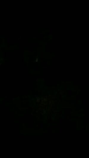 Thank goodness for flash...oh, and you might want to turn up the volume.