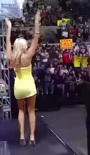 Kelly Kelly is a whore