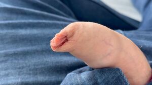 Gay Foreskin Play Throbbing Uncut