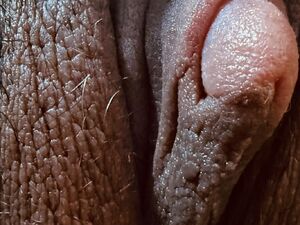 Fat Pussy Big Clit Clips4Sale FapHouse