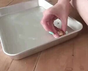 Croissant Cuisine