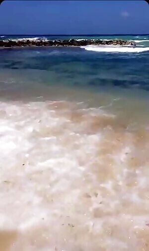 19 Persian for my superiors