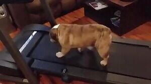 Your mom found your reddit: 