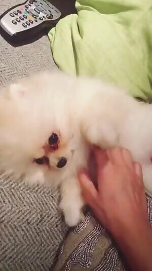 I seriously cannot get enough of her