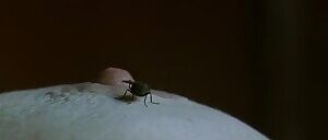 Tilda Swinton - Young Adam