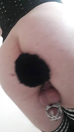 Shaking my cute bunny tail~