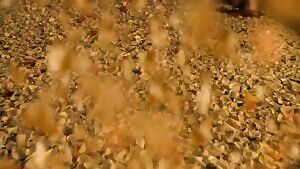 Viva Bianca - Spartacus: Vengeance