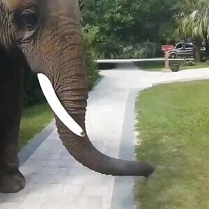 I have watched enough hentai to see where this is going