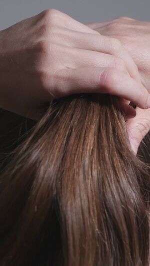 Long Hair Dirty Blonde Ponytail