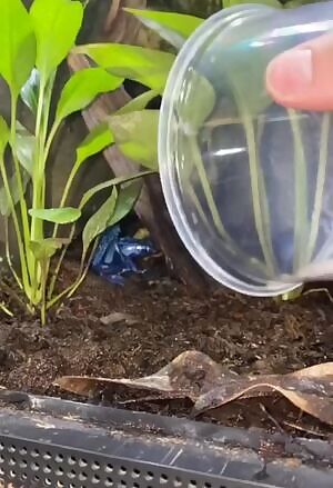 Whose gonna clean her up?