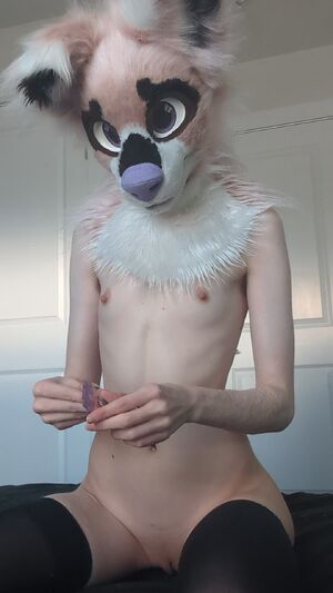 Solo Furries Cosplay Costume Extra Small