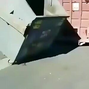 NSFL - Damn trash pandas get no respect.