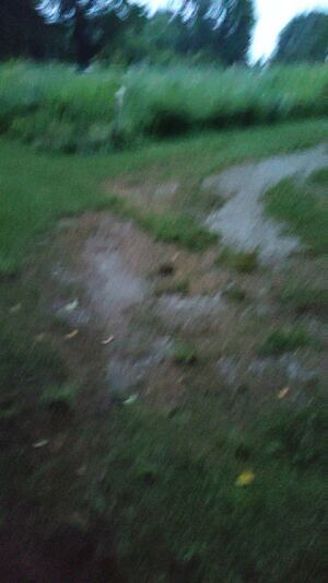Real Outdoor Enjoyers Amateur Exhibitionism Exhibitionist