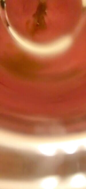 y fun for the day part 2