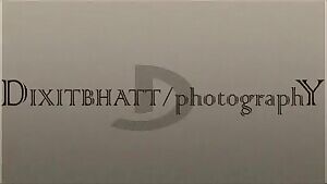 Riya palekar is curvy