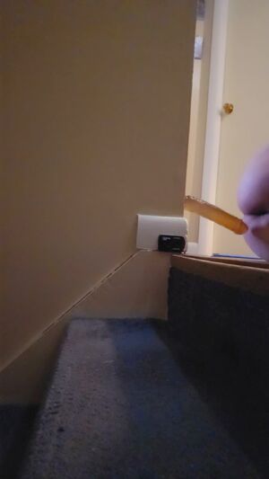 Gay Anal Orgasms Amateur Ass Bisexual