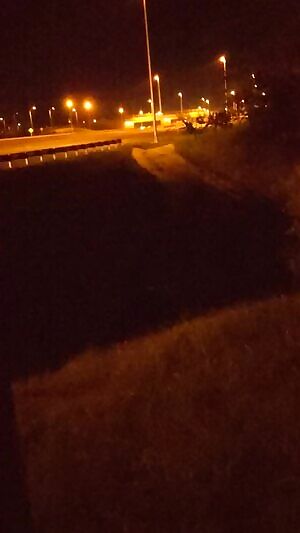 Looking for new places, really want a partner!