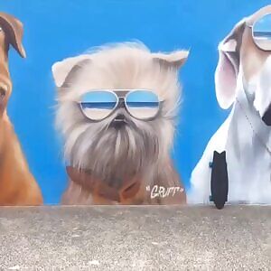 Bikini babe skateboarding