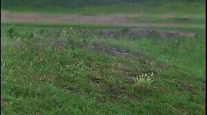 Serbian peasant ritual to stop excessive rain: scare away the gods by exposing your privates