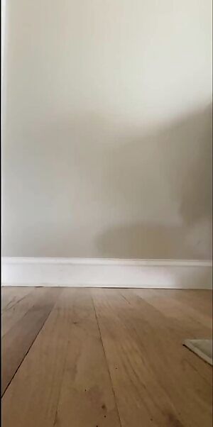 A must have breeding partner.