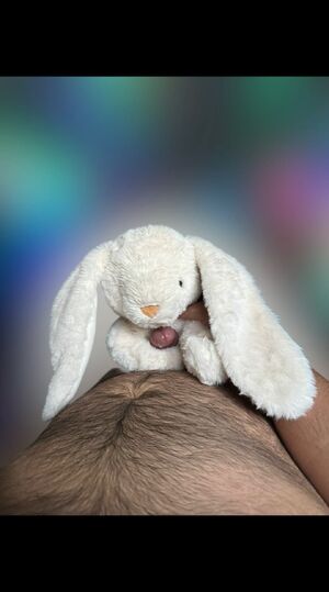 Furry Fantasy Furries
