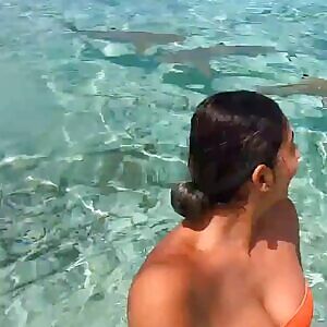Tiff Swimming with Sharks