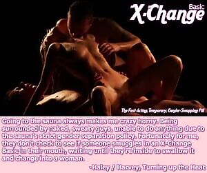 Haley / Harvey, Turning up the Heat