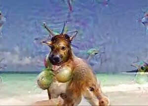 Google Deep Dream provides confused and terrifying boners...