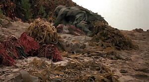 Lynn Theel- Humanoids from the Deep