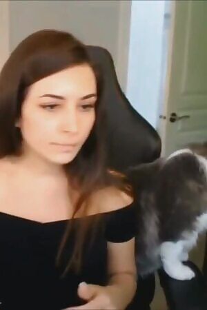 Good cat