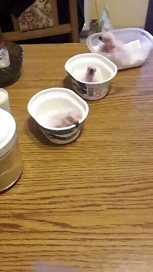 No batteries required...