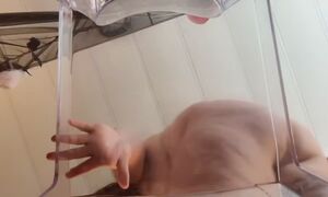 MILF BBC Blowjobs BBBW BBW Bubble Butt