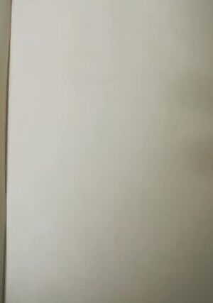 21 Need help to tame.