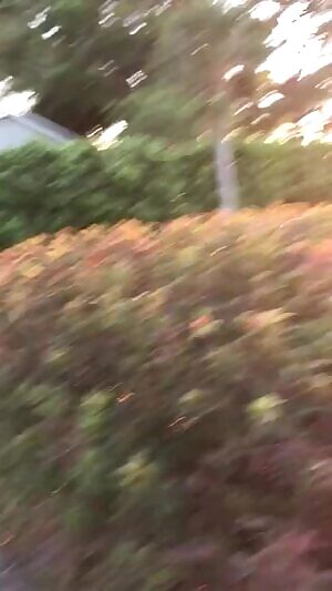 sucking my boyfriend off at sunset