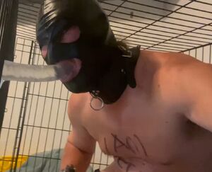 Betacuck Blowjob Caged Chastity Femdom