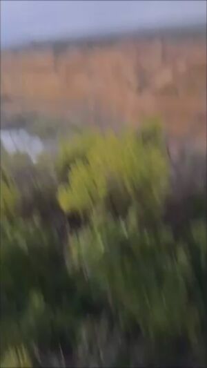 Male Pissing Pee Peeing Piss Solo