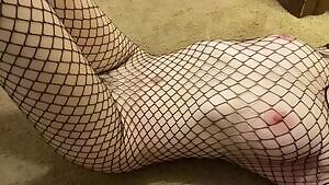 This kitty needs a friend to play with