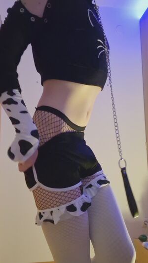 Catboys Bussy Femboy Fishnet Tease
